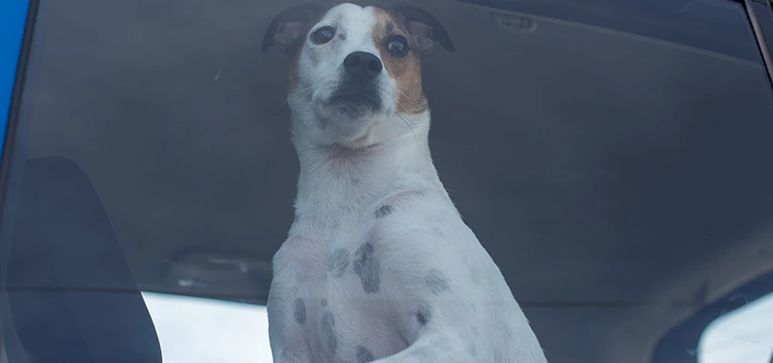 Car Lockout Solutions in St. John's, Ontario